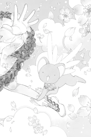 bộ cardcaptor sakura: clear card 1 - Ảnh 7