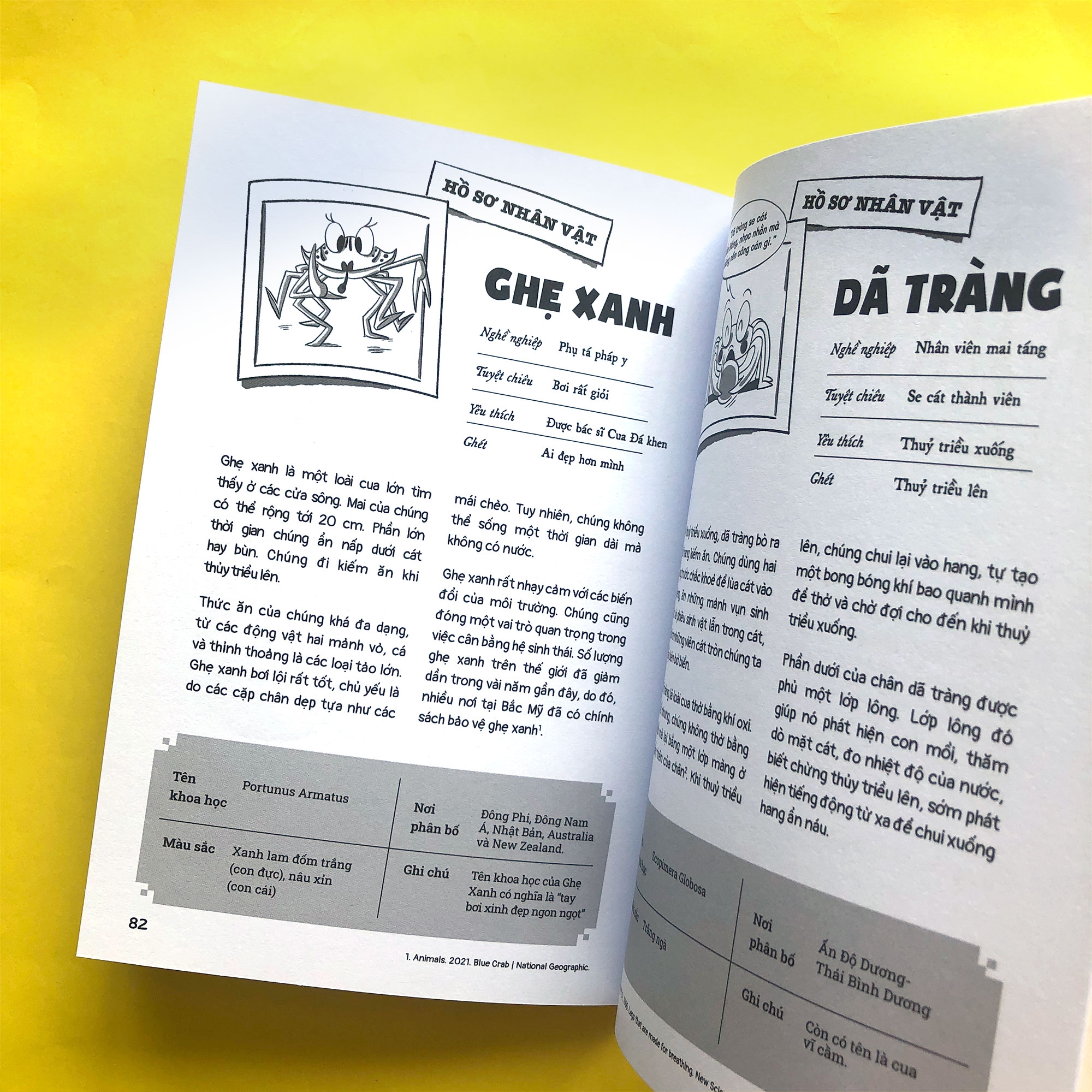 bộ câu chuyện đại dương - tập 1: cá chuồn kỳ án - Ảnh 8