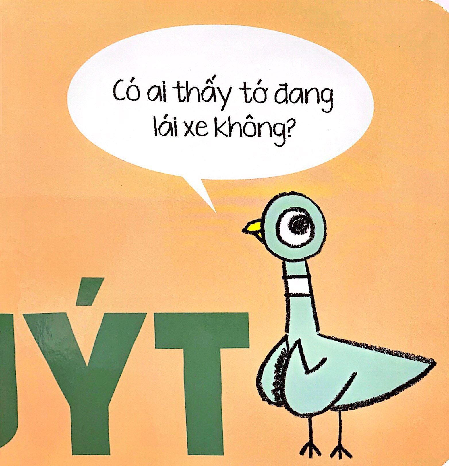 bồ câu cực thích những thứ biết đi! - Ảnh 4