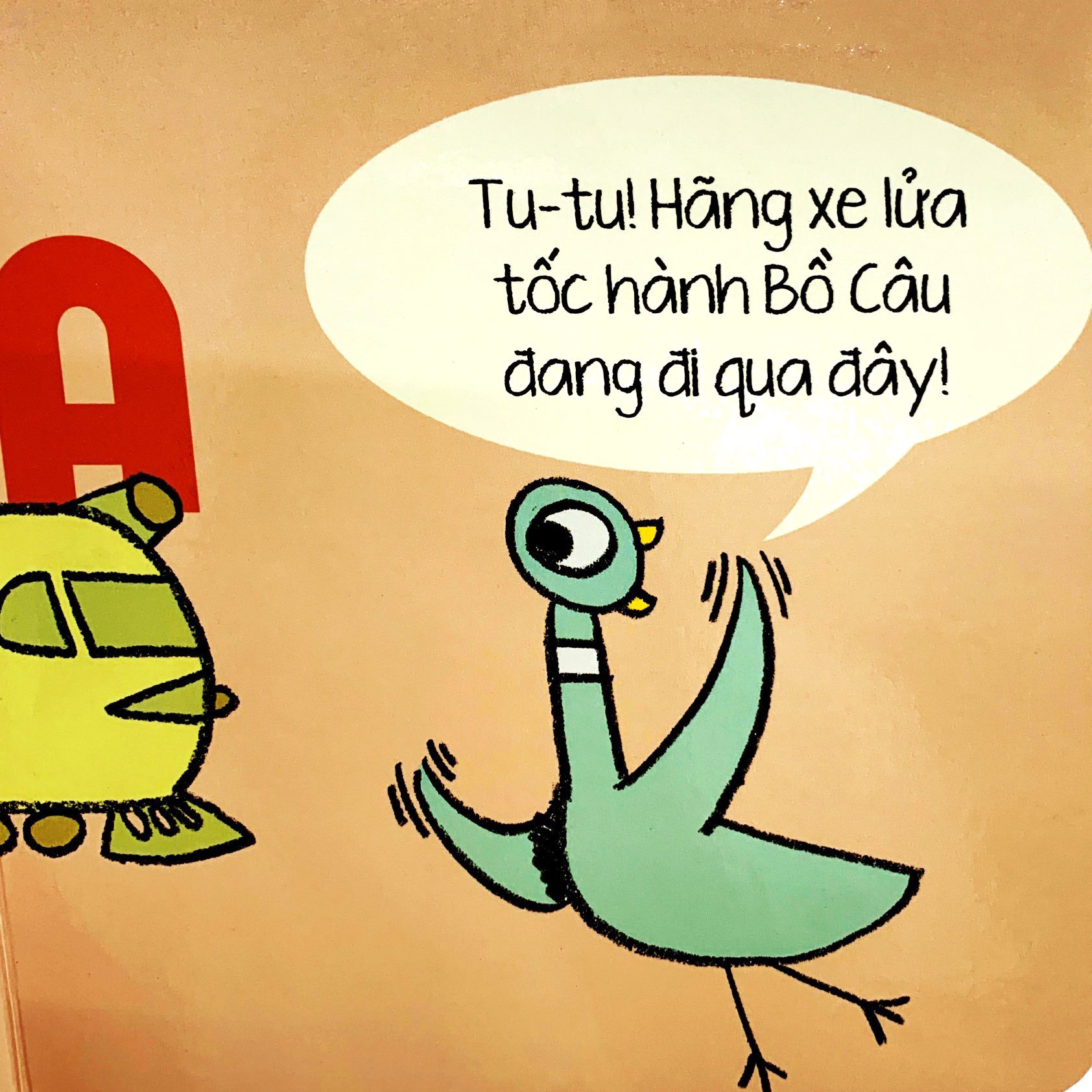 bồ câu cực thích những thứ biết đi! - Ảnh 6