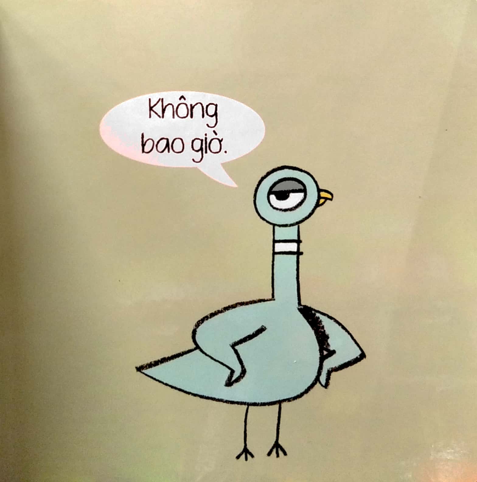 bồ câu cũng có cảm xúc đấy - Ảnh 5