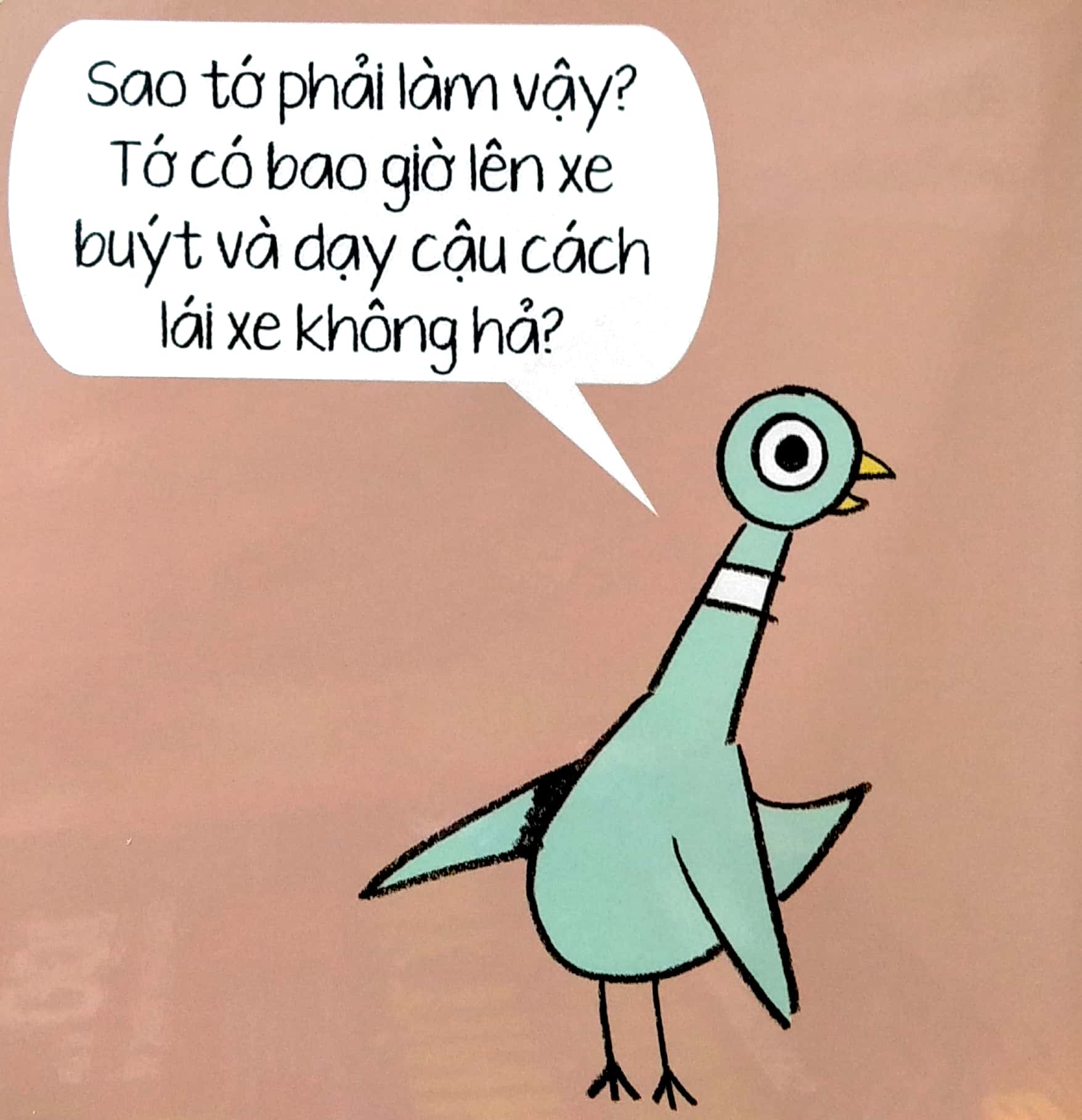 bồ câu cũng có cảm xúc đấy - Ảnh 6