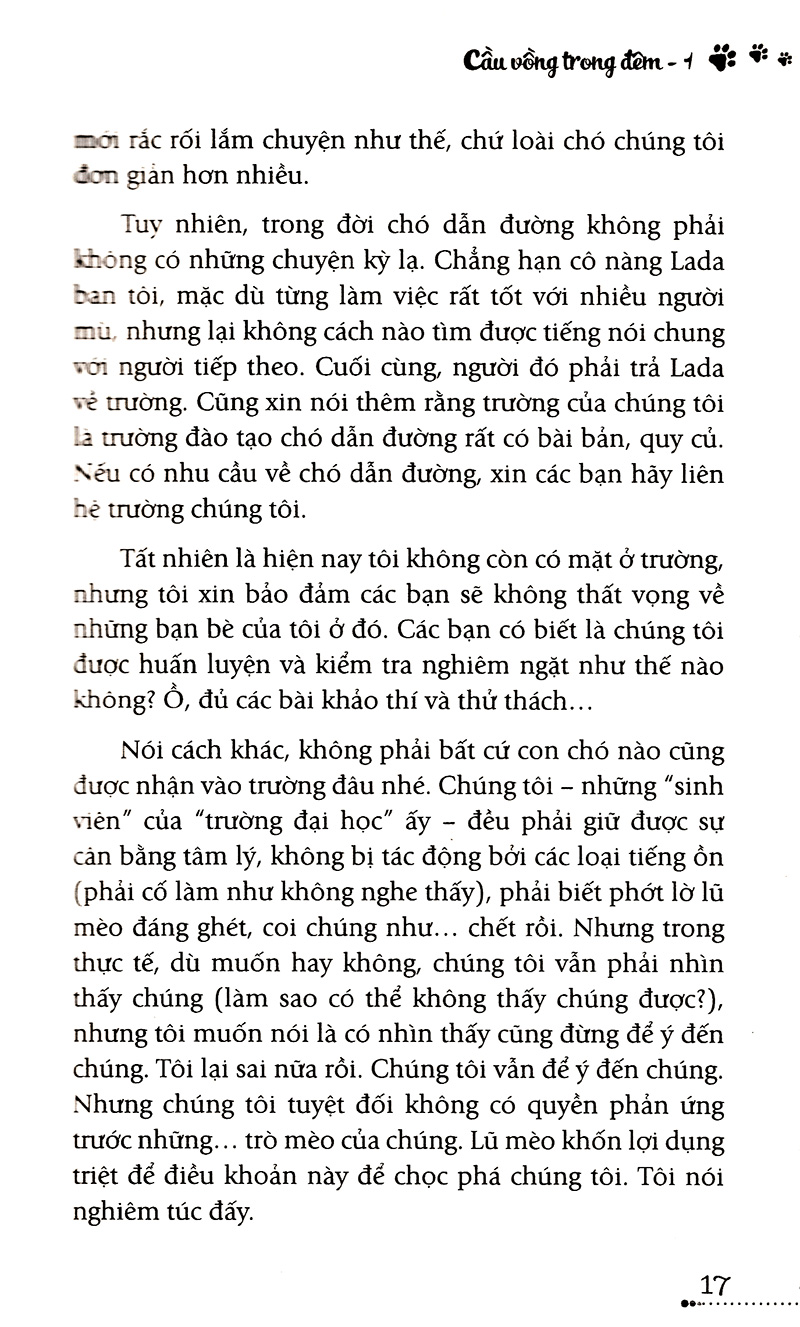 bộ cầu vồng trong đêm - tập 1 - cho những trái tim đang sống - Ảnh 11
