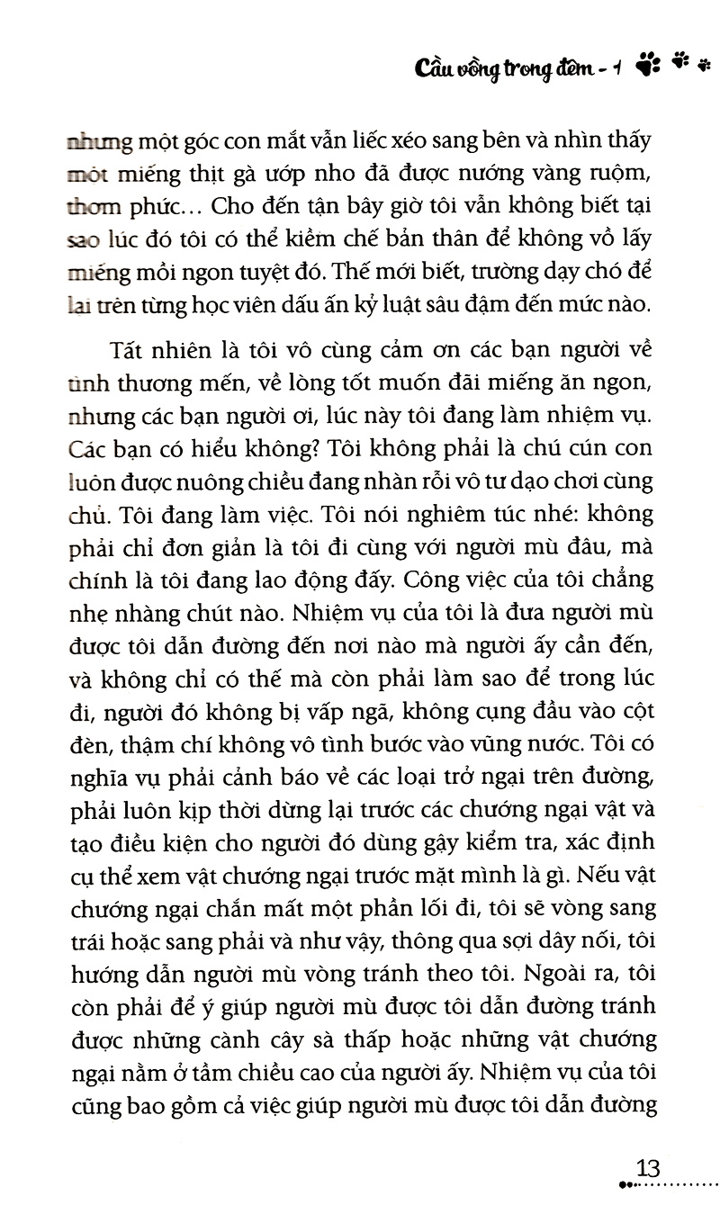 bộ cầu vồng trong đêm - tập 1 - cho những trái tim đang sống - Ảnh 7