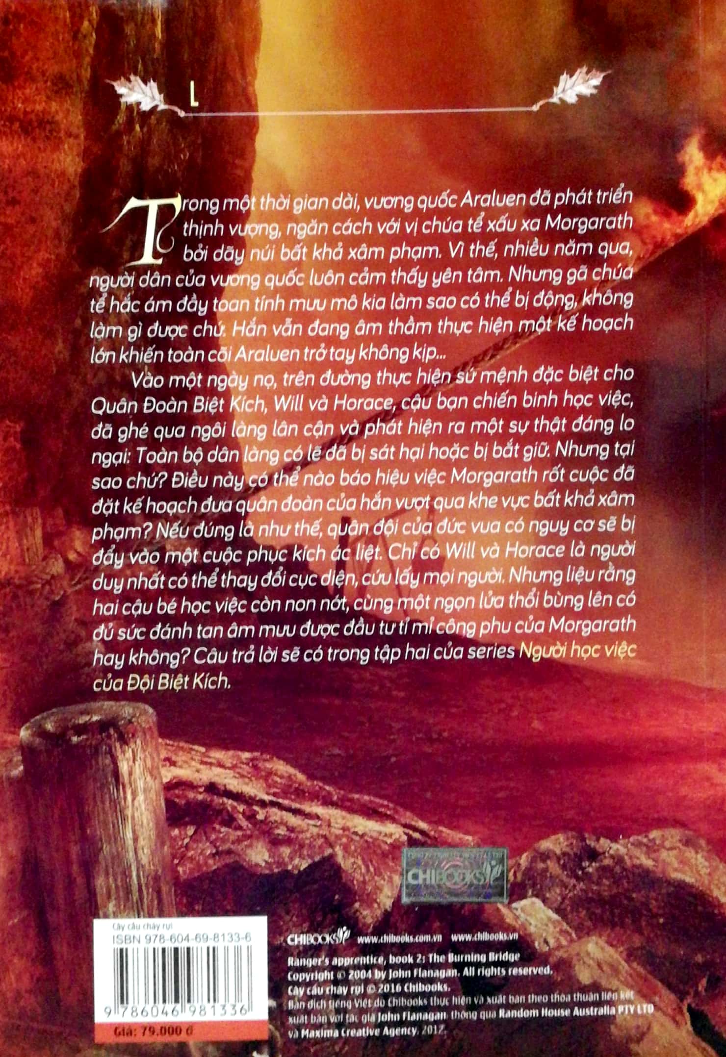 bộ cây cầu cháy rụi - Ảnh 10