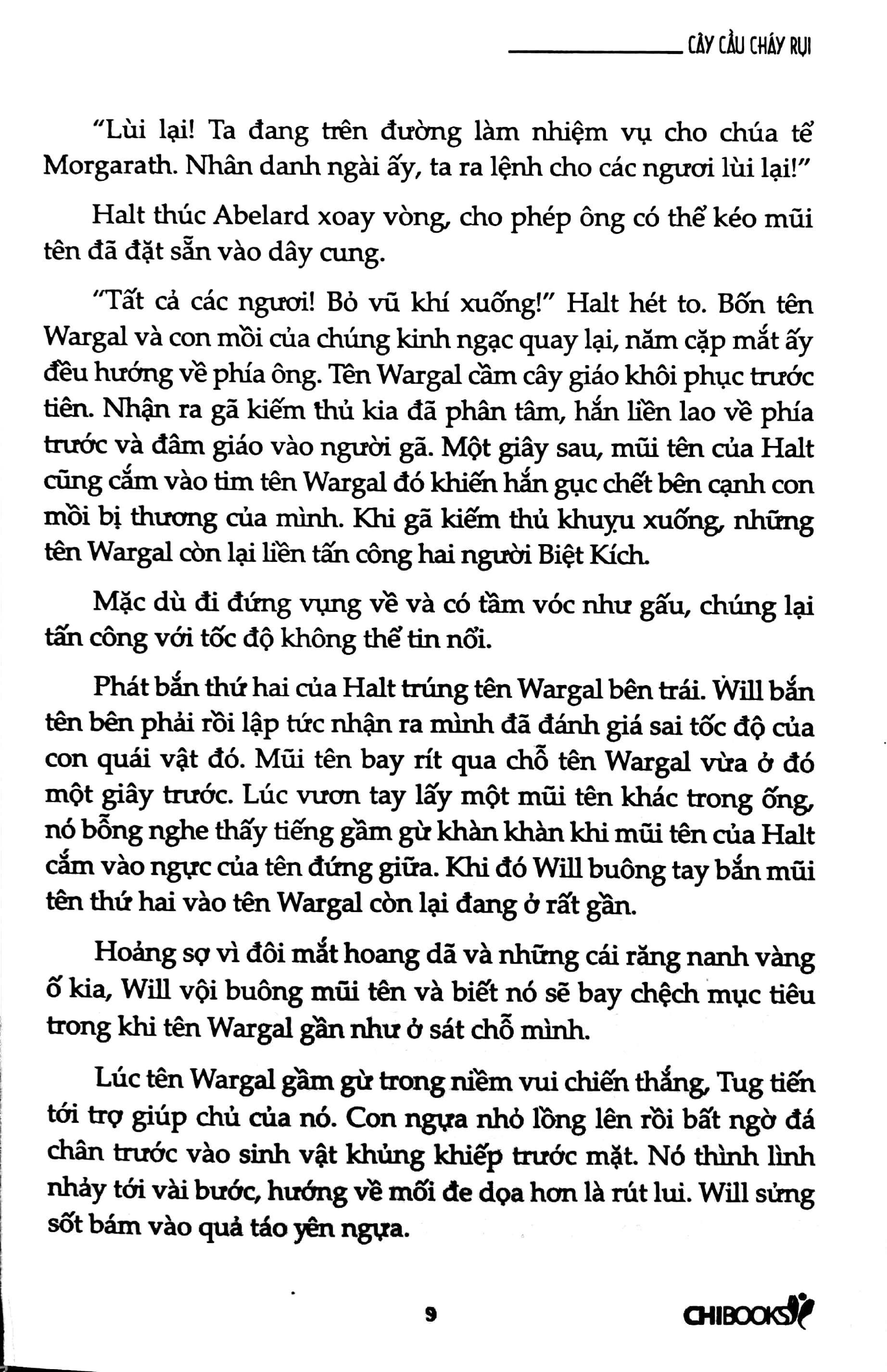bộ cây cầu cháy rụi - Ảnh 5