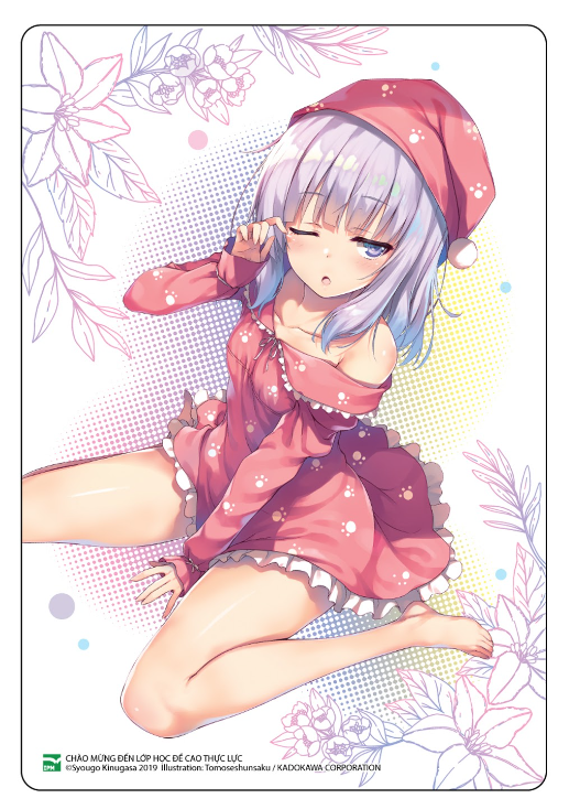 Bộ Chào Mừng Đến Lớp Học Đề Cao Thực Lực - Tập 11 - Bản Giới Hạn - Tặng Kèm Box + Tapestry A1 + ID Card Nhựa + Postcard - Ảnh 5