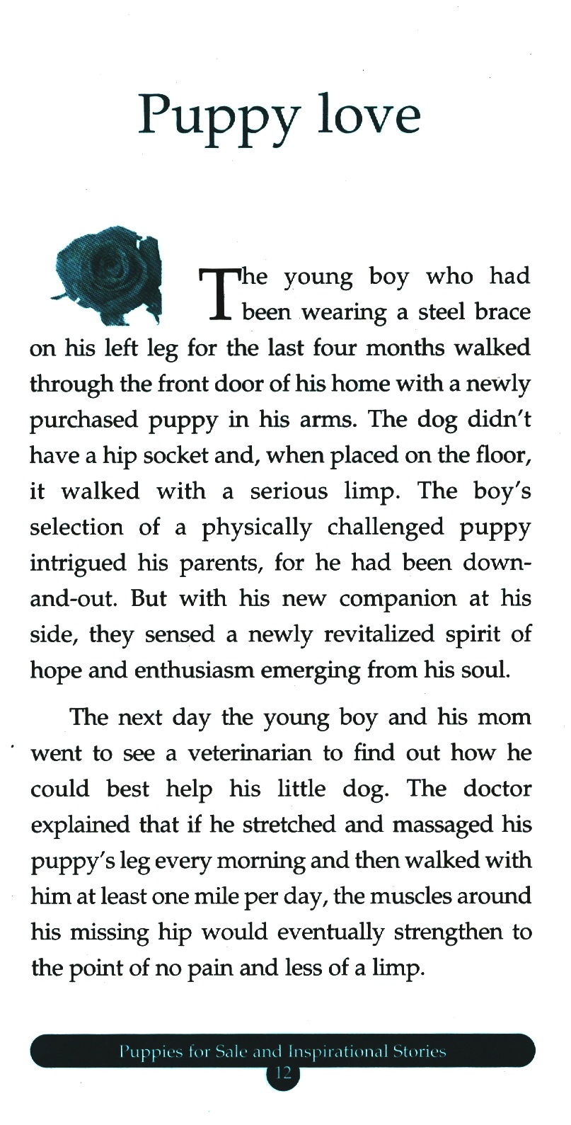 bộ chicken soup for the soul 14 - quà tặng từ trái tim (tái bản 2023) - Ảnh 4