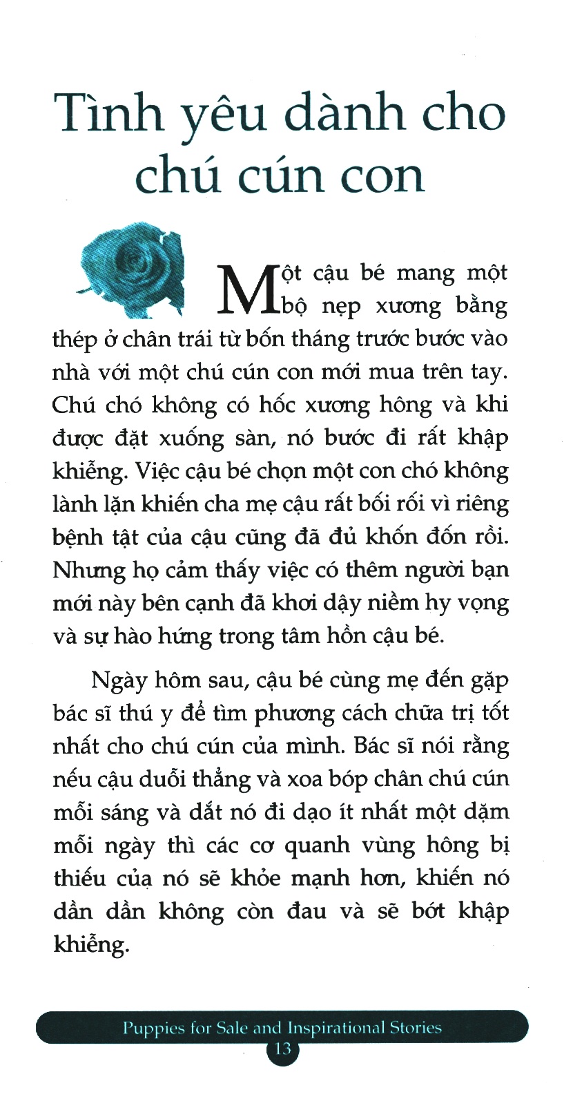 bộ chicken soup for the soul 14 - quà tặng từ trái tim (tái bản 2023) - Ảnh 5