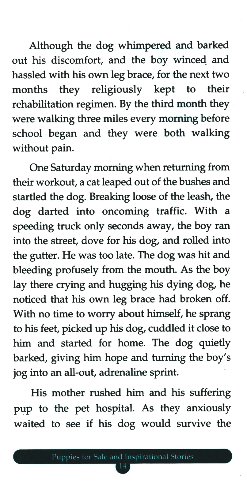 bộ chicken soup for the soul 14 - quà tặng từ trái tim (tái bản 2023) - Ảnh 6