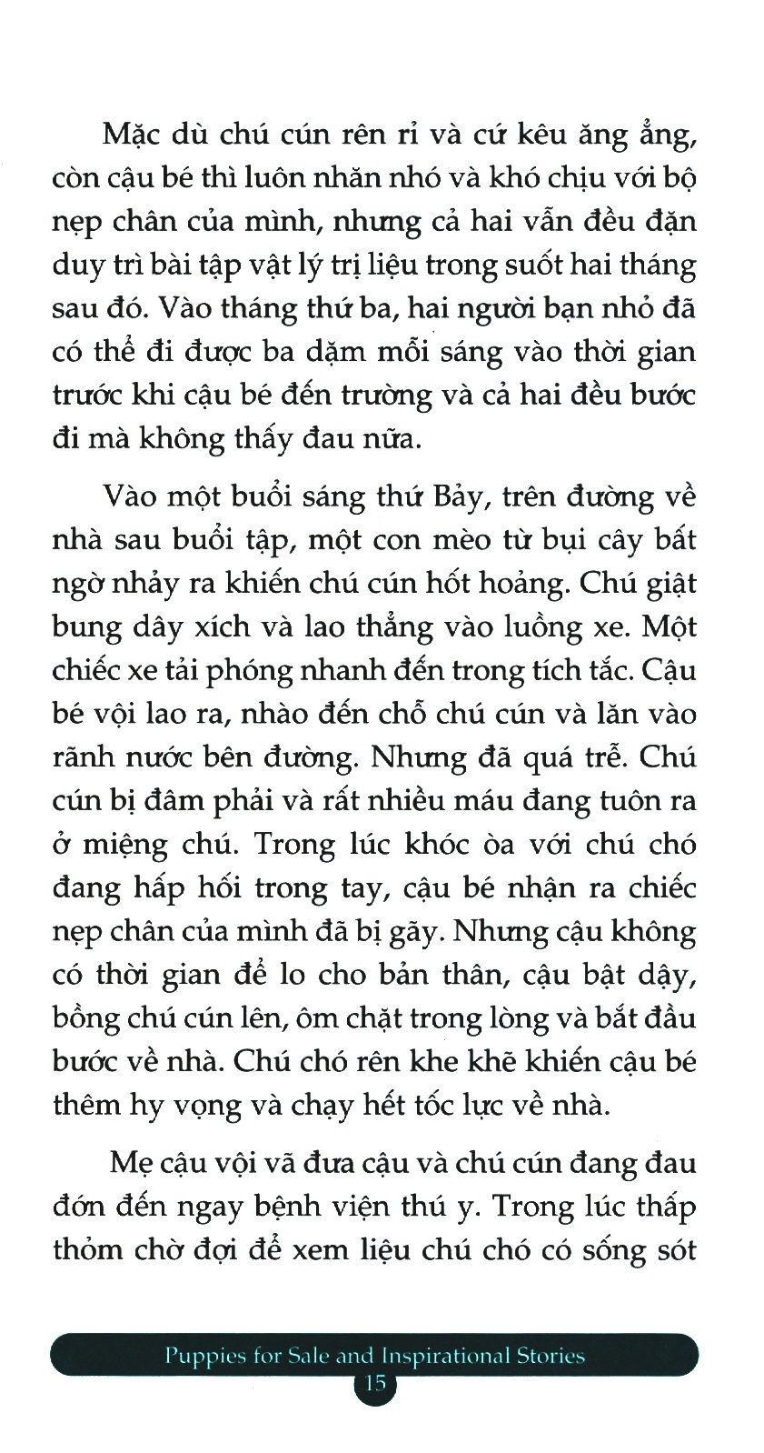 bộ chicken soup for the soul 14 - quà tặng từ trái tim (tái bản 2023) - Ảnh 7