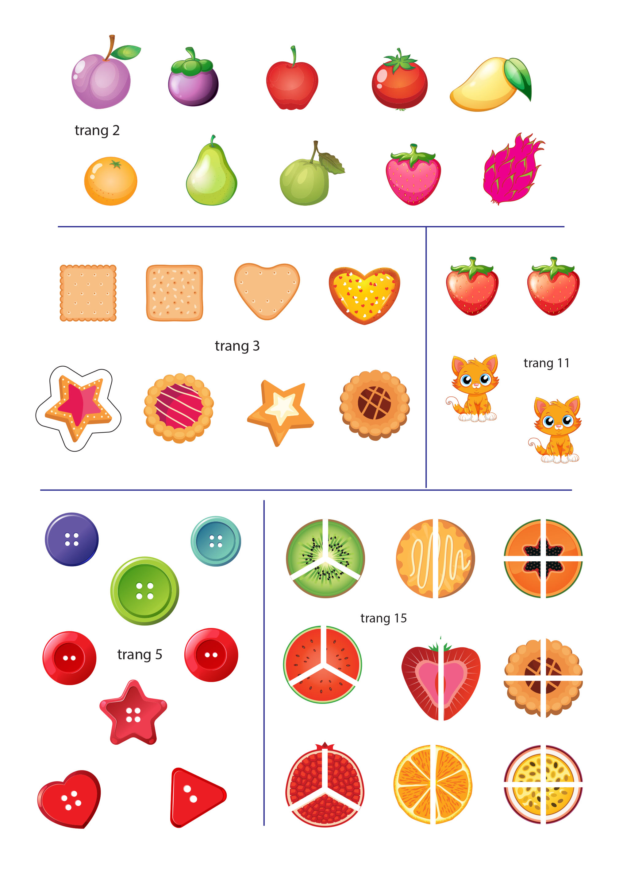 Bộ Chinh Phục Toán Theo Phương Pháp Giáo Dục Thông Minh Montessori Cho Trẻ 3-6 Tuổi - Tập 4 - So Sánh Và Phân Loại - Ảnh 5