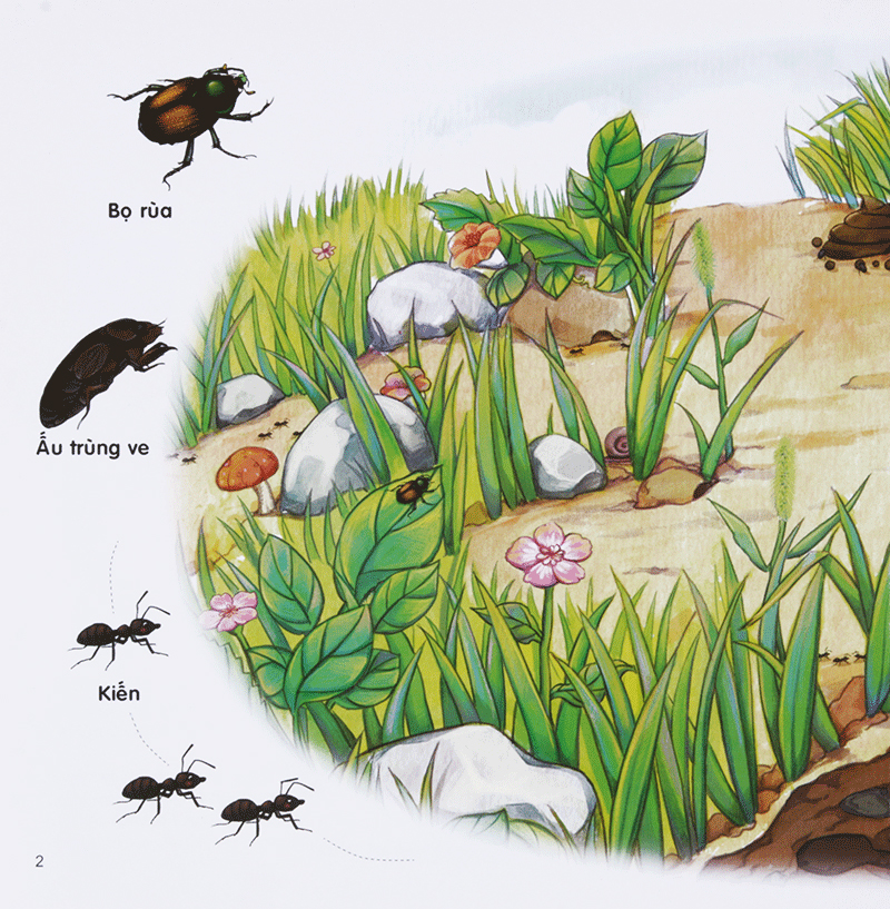 bộ chú mèo kẹo bi phiêu lưu trong xứ sở côn trùng (tập 2): trong lòng đất - Ảnh 4