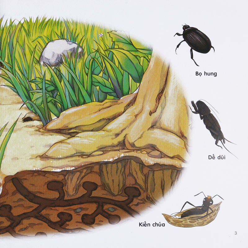 bộ chú mèo kẹo bi phiêu lưu trong xứ sở côn trùng (tập 2): trong lòng đất - Ảnh 5