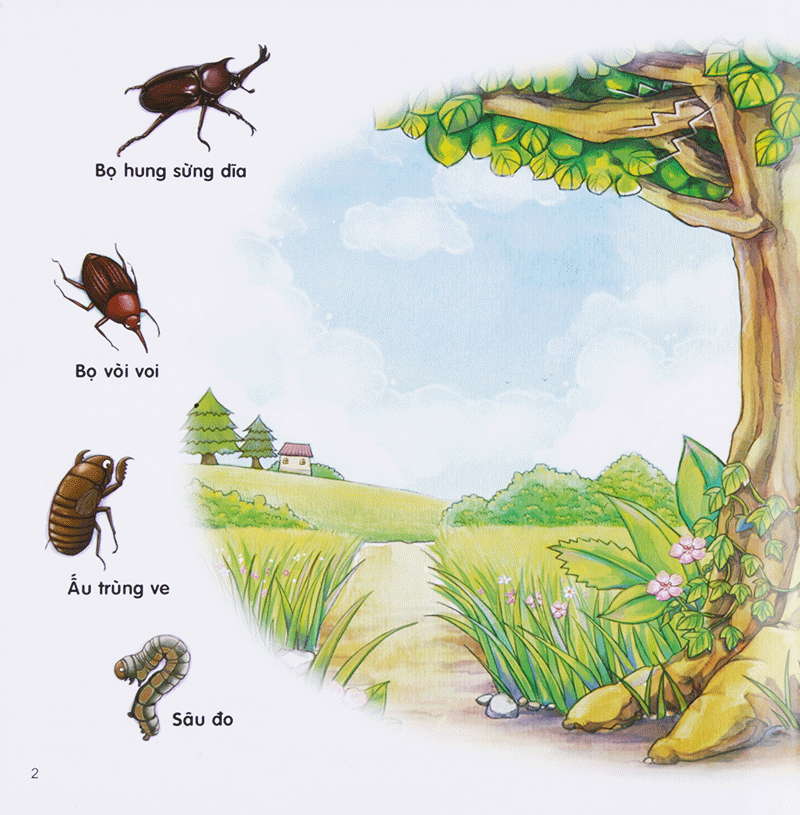 bộ chú mèo kẹo bi phiêu lưu trong xứ sở côn trùng (tập 3): trên cây - Ảnh 4