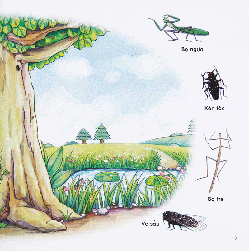 bộ chú mèo kẹo bi phiêu lưu trong xứ sở côn trùng (tập 3): trên cây - Ảnh 5