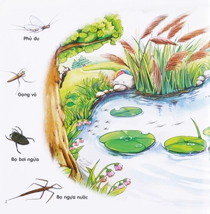 bộ chú mèo kẹo bi phiêu lưu trong xứ sở côn trùng (tập 4): trên mặt ao - Ảnh 3