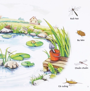 bộ chú mèo kẹo bi phiêu lưu trong xứ sở côn trùng (tập 4): trên mặt ao - Ảnh 4