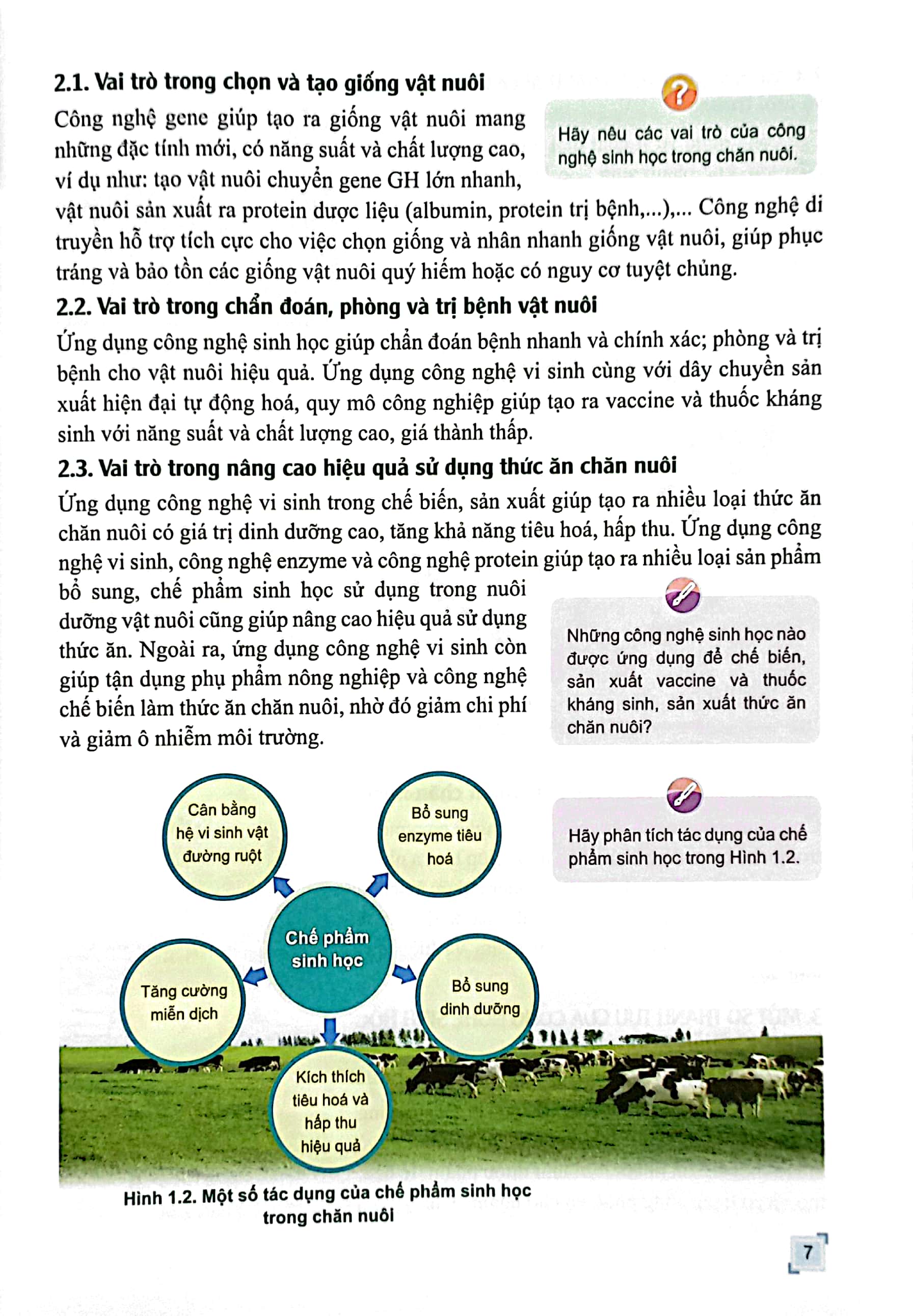 Bo
						
										
										Chuyen De Hoc Tap Cong Nghe 11 - Cong Nghe Chan Nuoi (Canh Dieu) (Chuan) - Ảnh 5