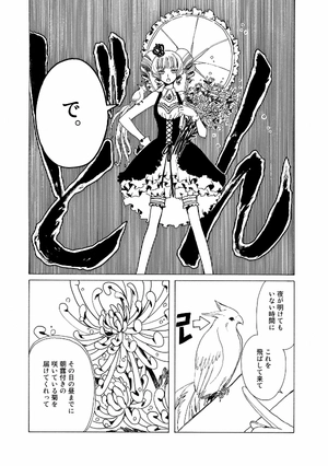 bộ clamp premium collection ×××holic 19 - Ảnh 12