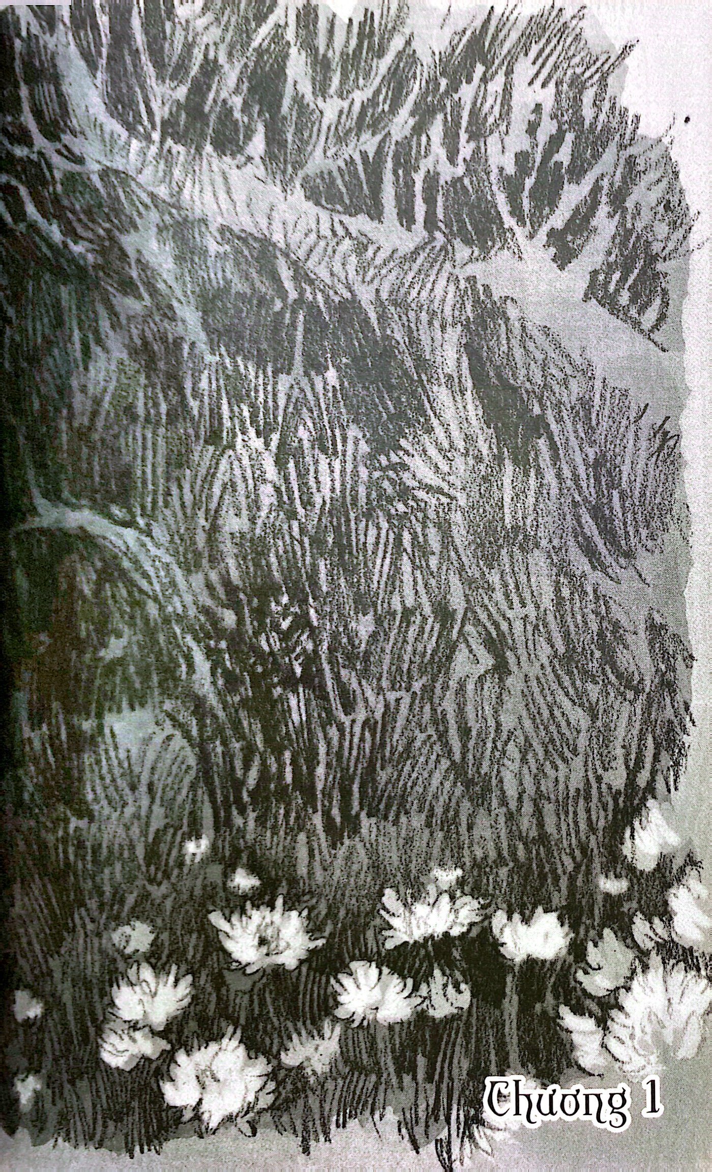 bộ cô gái nơi xứ ngoài - tập 1 - Ảnh 6