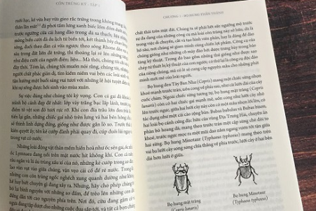 bộ côn trùng ký (ấn bản đầy đủ nhất) - tập 1 - Ảnh 4