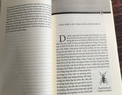 bộ côn trùng ký (ấn bản đầy đủ nhất) (tập 2) - Ảnh 3