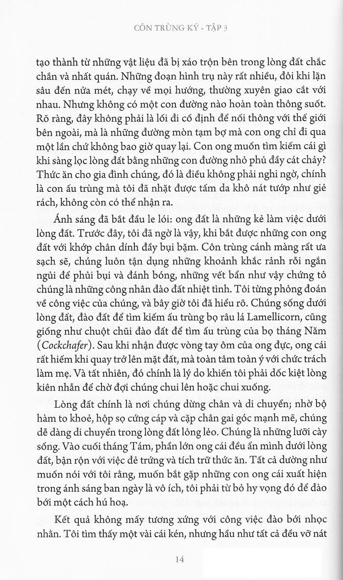 bộ côn trùng ký (ấn bản đầy đủ nhất) - tập 3 - Ảnh 10