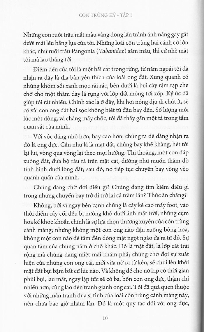 bộ côn trùng ký (ấn bản đầy đủ nhất) - tập 3 - Ảnh 6