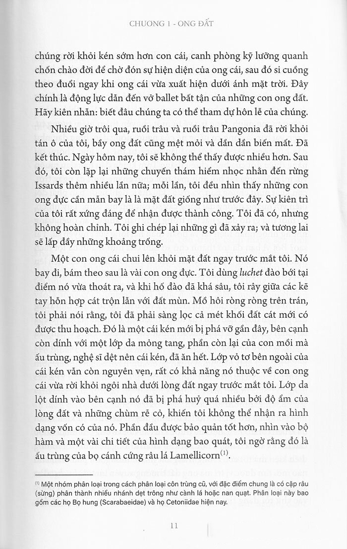bộ côn trùng ký (ấn bản đầy đủ nhất) - tập 3 - Ảnh 7
