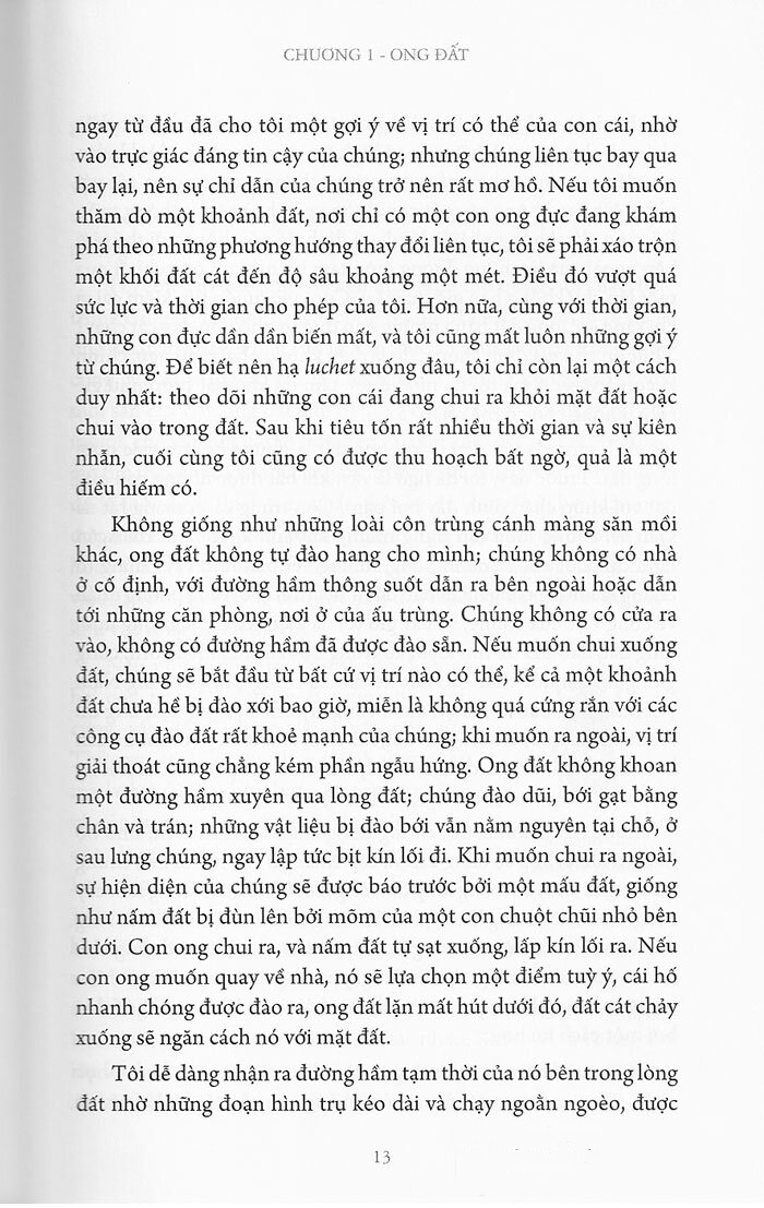 bộ côn trùng ký (ấn bản đầy đủ nhất) - tập 3 - Ảnh 9