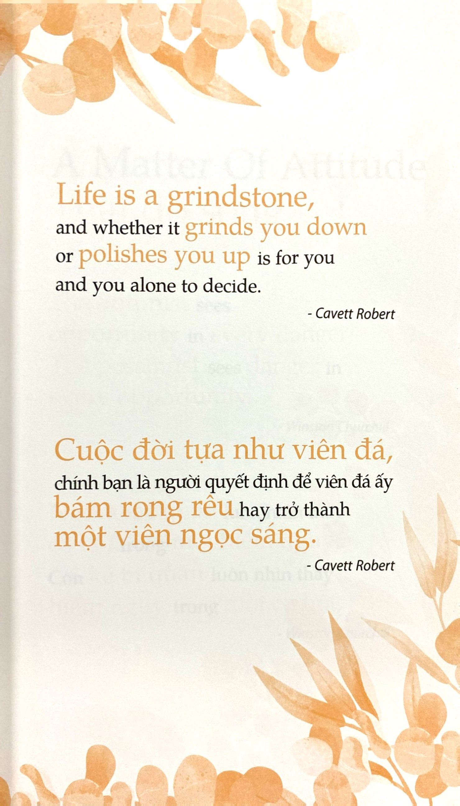 bộ condensed chicken soup for the soul 2 - quà tặng cuộc sống từ những câu chuyện xúc động (2022) - Ảnh 4