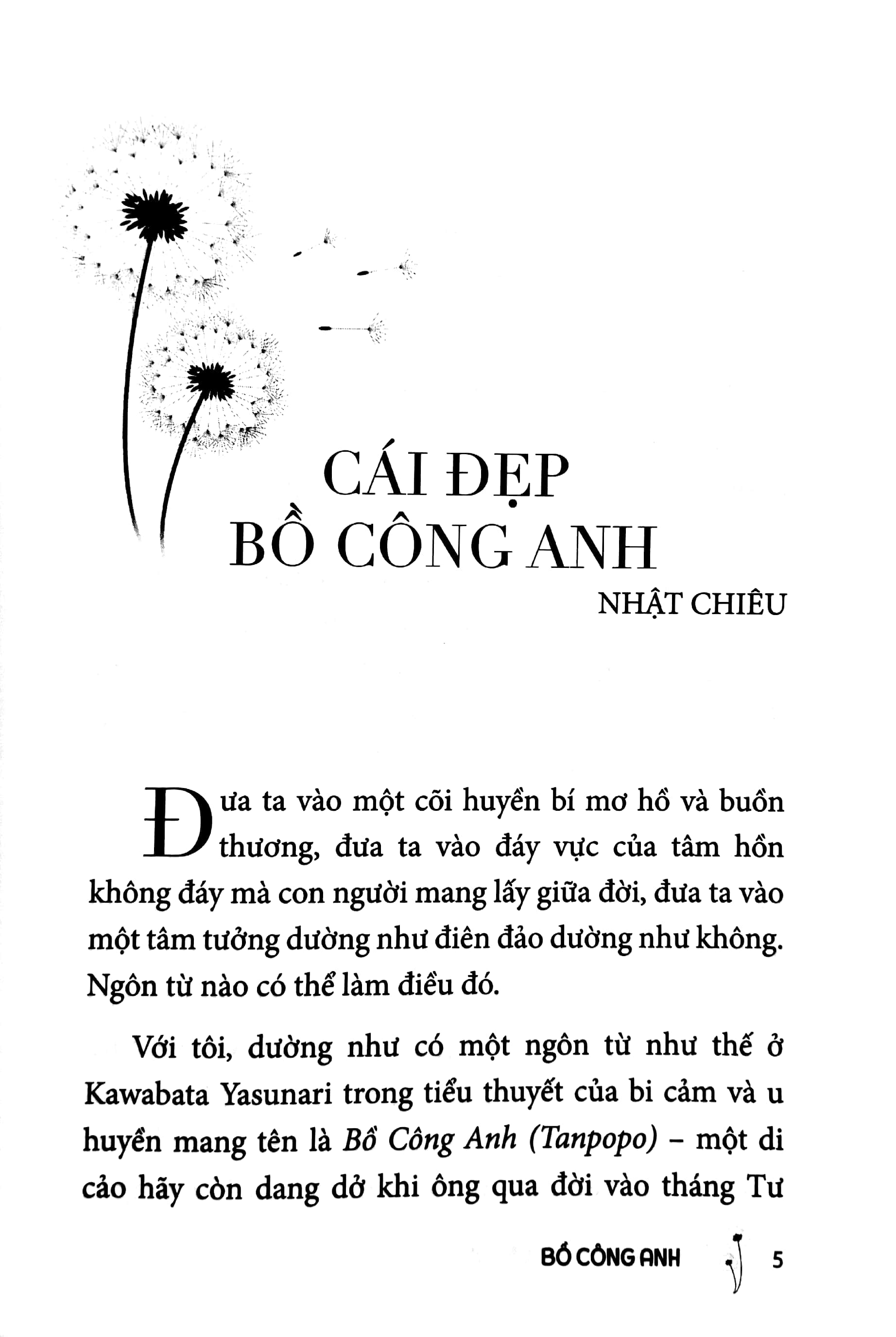 bồ công anh - Ảnh 4