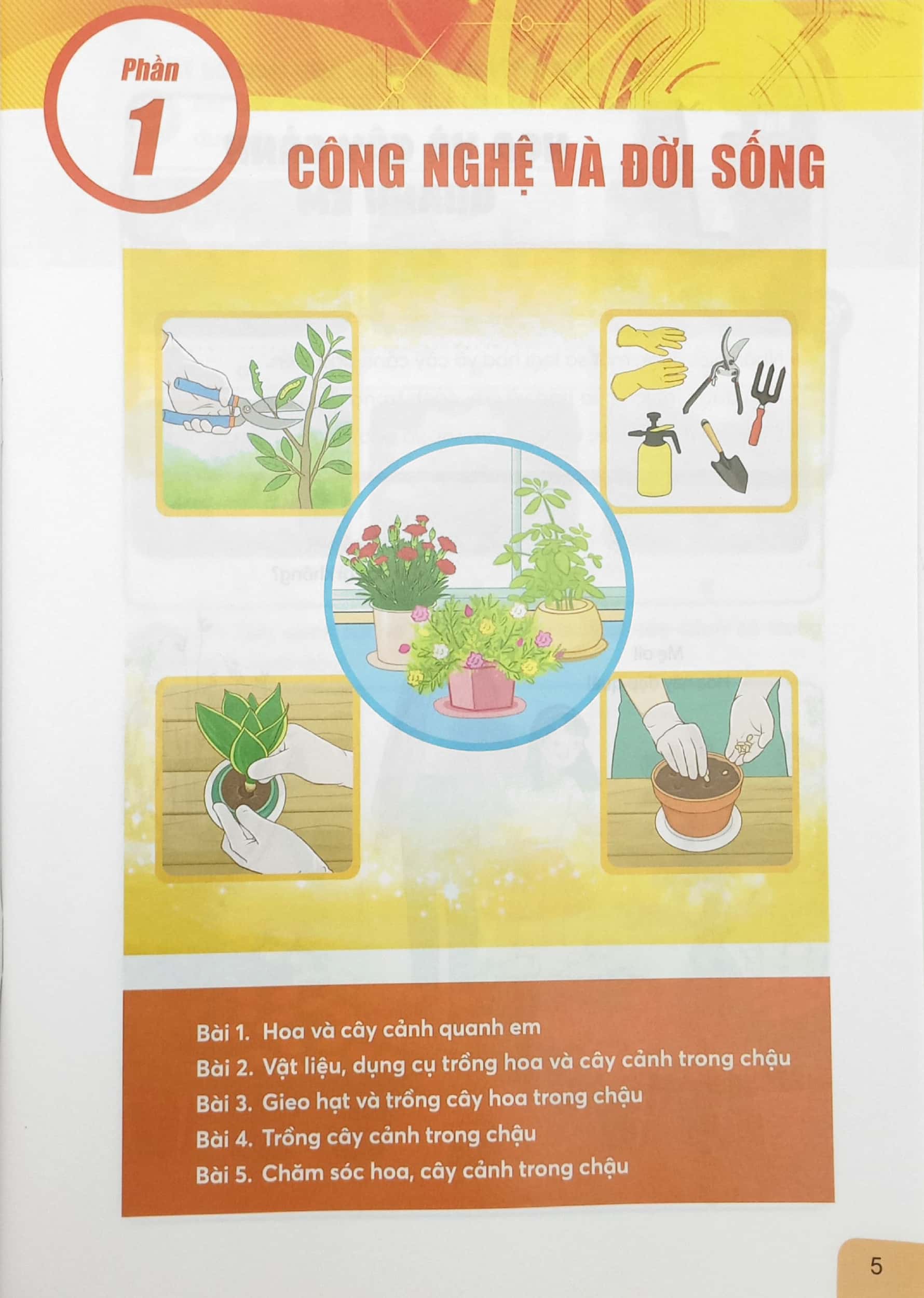 bộ công nghệ 4 (chân trời sáng tạo) (chuẩn) - Ảnh 4