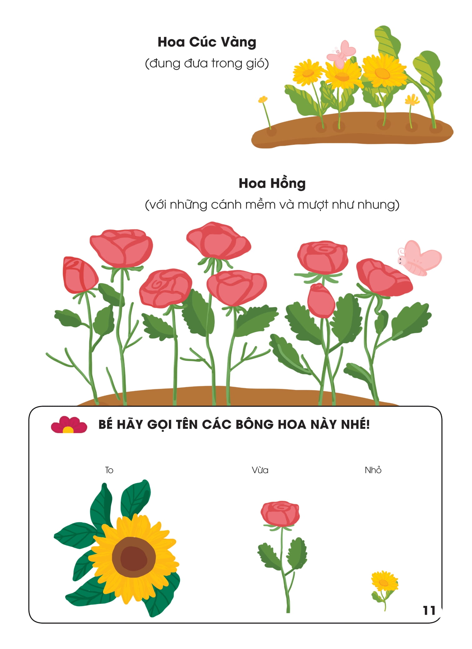 Bộ Cùng Con Học Nói 4 - Hoa Đo Đỏ Lá Xanh Xanh - Ảnh 12