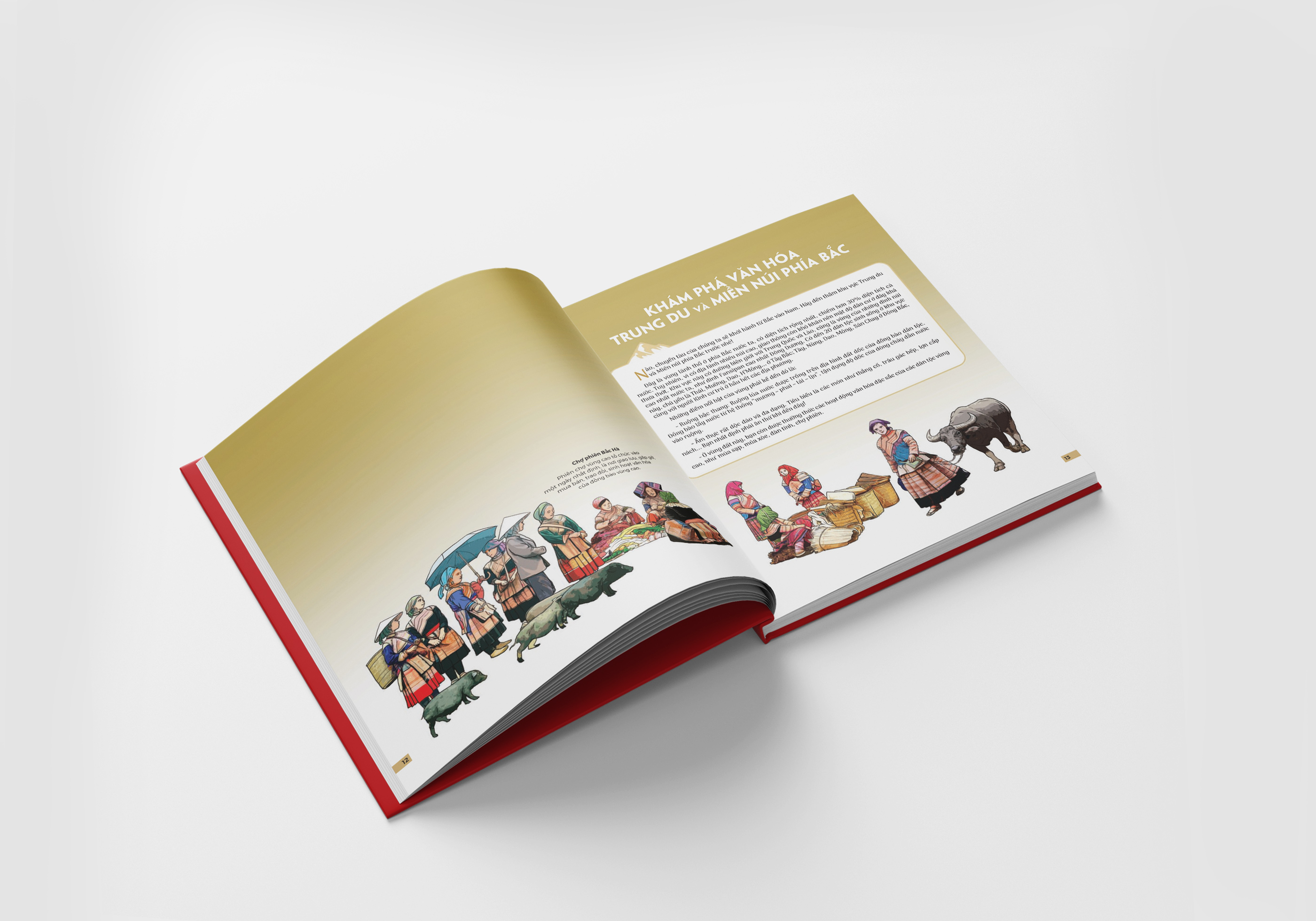 Bo
						
										
										Dat Nuoc Gam Hoa - Atlas Viet Nam - An Ban Luu Dau 63 Tinh Thanh - Bia Cung - Ảnh 10