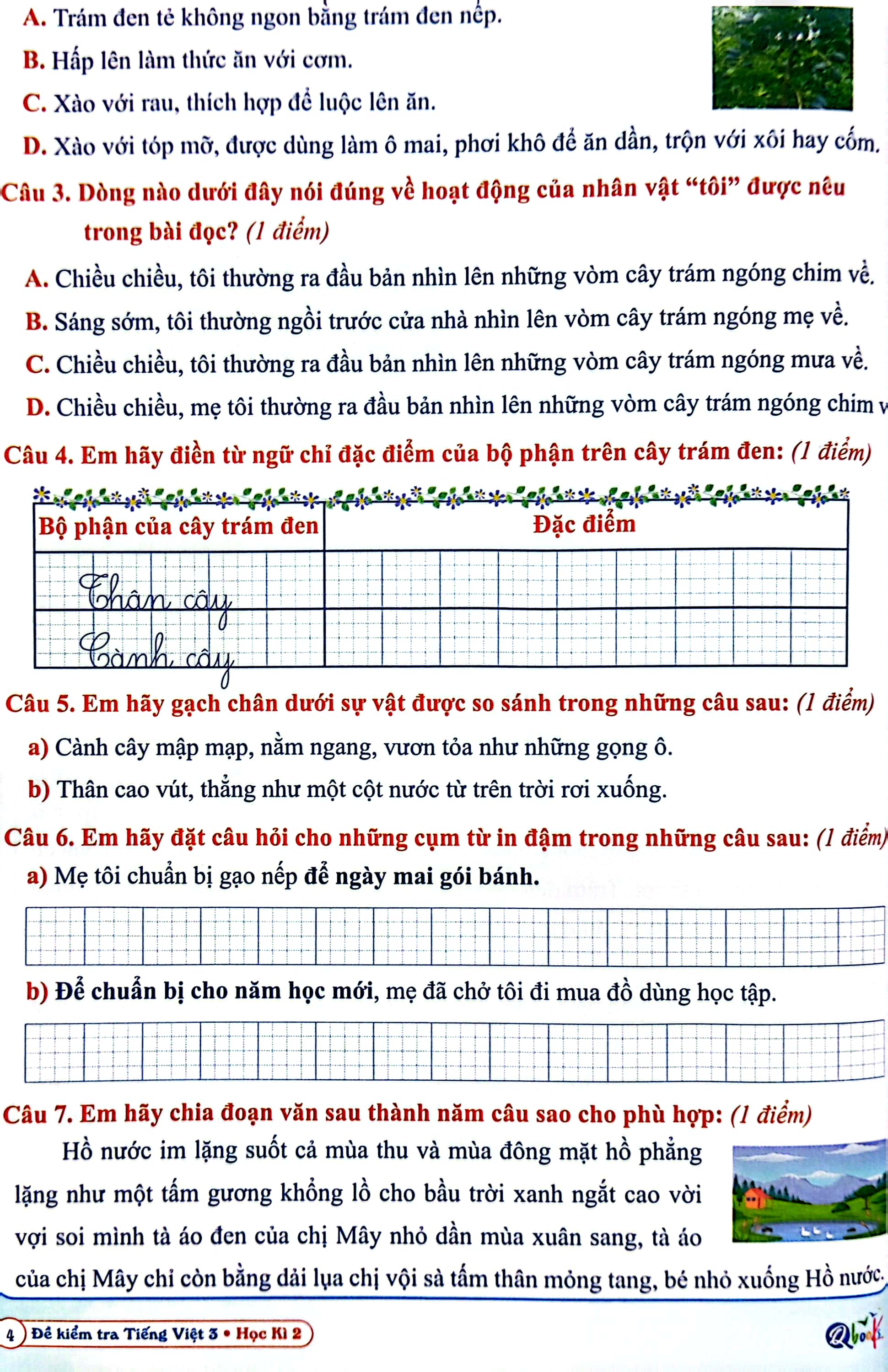 bộ đề kiểm tra tiếng việt 3 - học kì 2 (cánh diều) (2022) - Ảnh 5