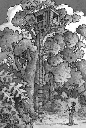 bộ dinosaurs before dark (magic tree house, no. 1) - Ảnh 6