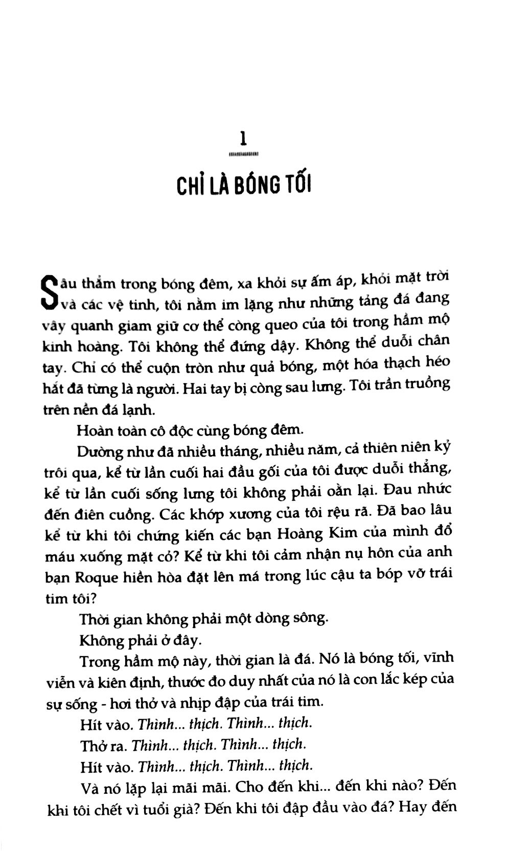 bộ đỏ trỗi dậy 3 - sao mai - Ảnh 10