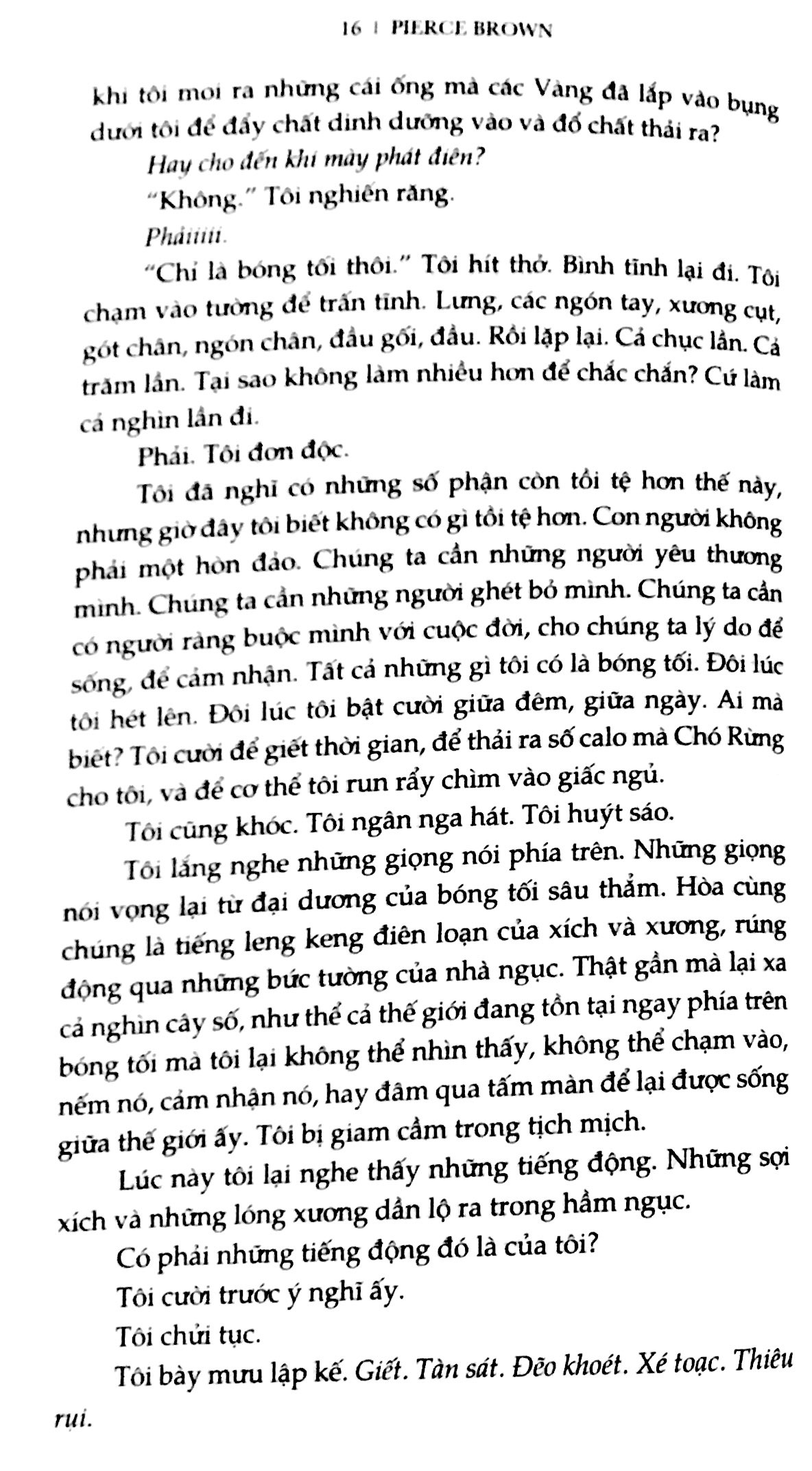 bộ đỏ trỗi dậy 3 - sao mai - Ảnh 11