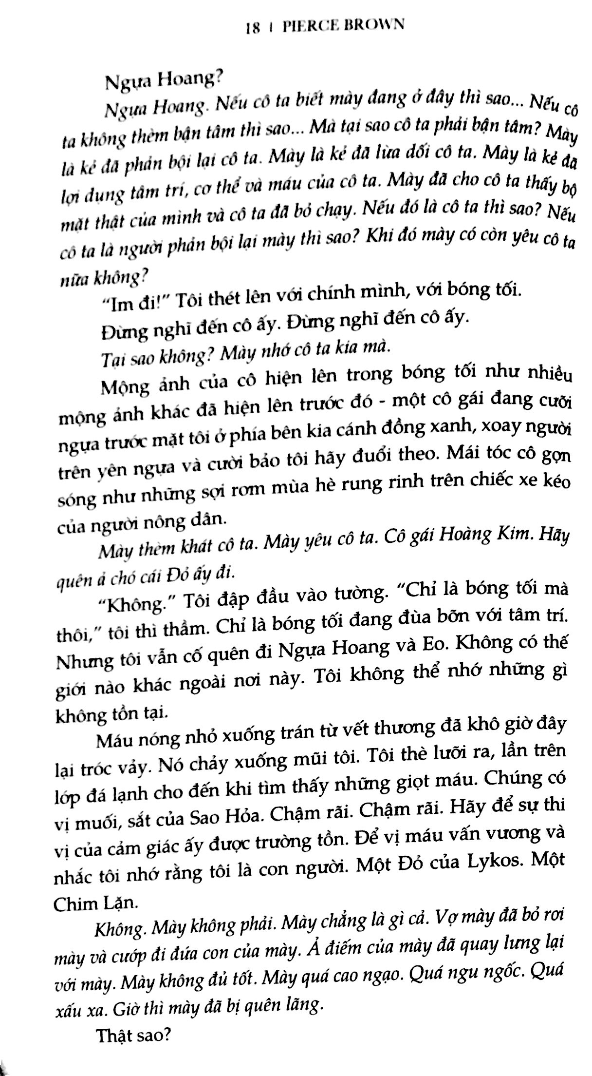 bộ đỏ trỗi dậy 3 - sao mai - Ảnh 13