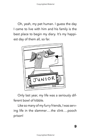 bộ dog diaries 1: a middle school story - Ảnh 17