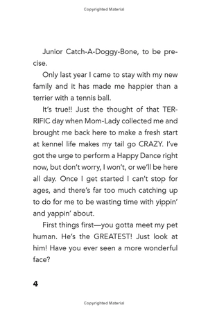 bộ dog diaries 3: mission impawsible: a middle school story - Ảnh 10