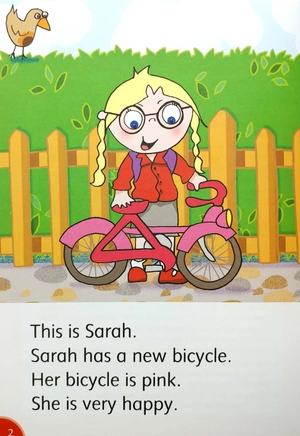 bộ dolphin readers level 2: double trouble - Ảnh 4