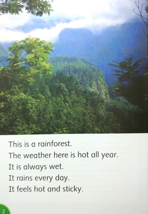 bộ dolphin readers level 3: let's go to the rainforest - Ảnh 4