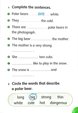 bộ dolphin readers level 3: wonderful wild animals - Ảnh 4