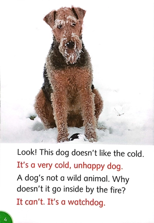 bộ dolphin readers level 3: wonderful wild animals - Ảnh 5