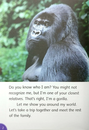 bộ dolphin readers level 4: go, gorillas, go - Ảnh 5