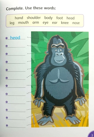 bộ dolphin readers level 4: go, gorillas, go - Ảnh 6