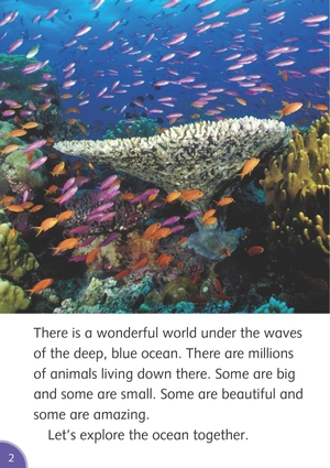 bộ dolphin readers level 4: in the ocean - Ảnh 7